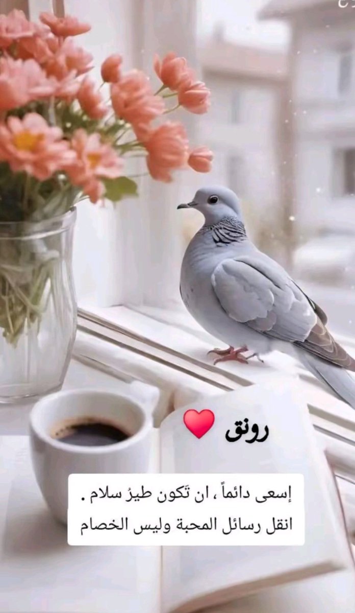 الجنوبية 💕 tweet media