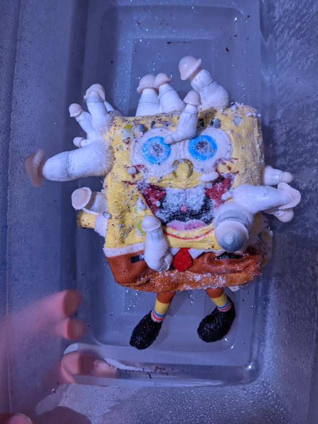 heshavingfun (COMMS OPEN) tweet media