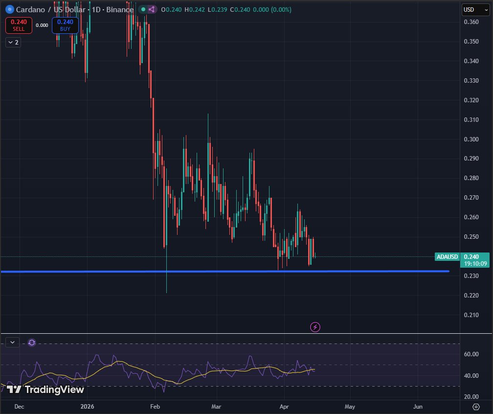 Sssebi🦁 tweet media
