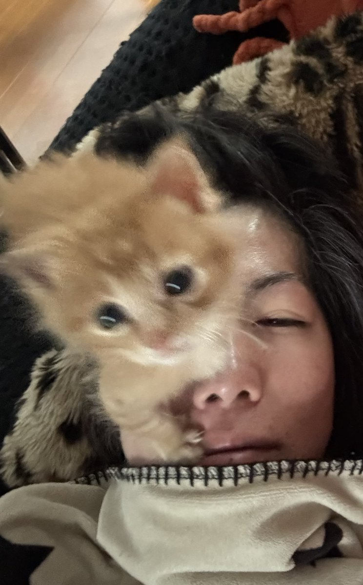 makoto POOL tweet media