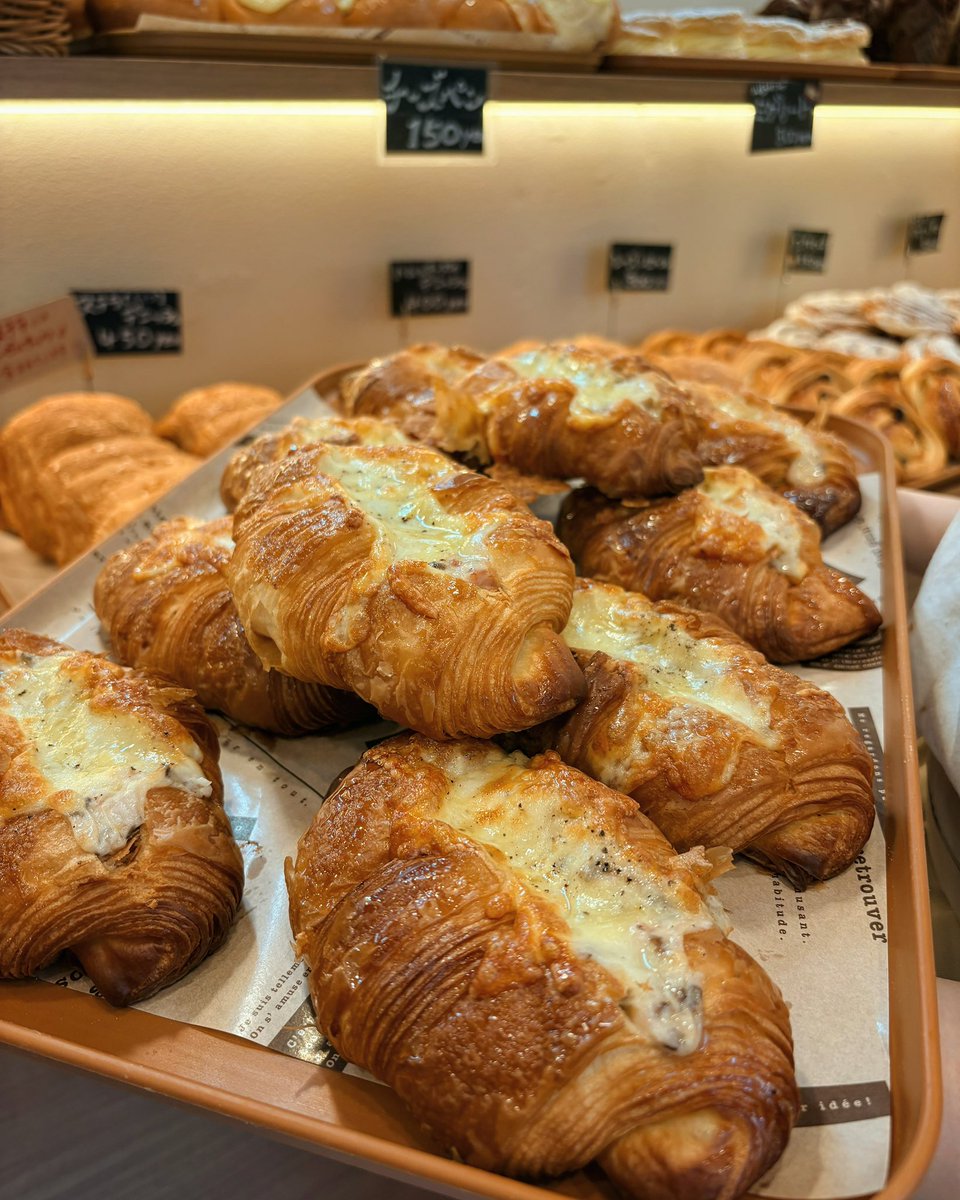 アディブ ☁️ tweet media