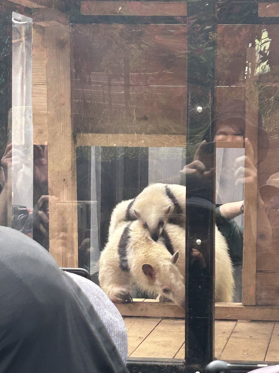 まさくん tweet media