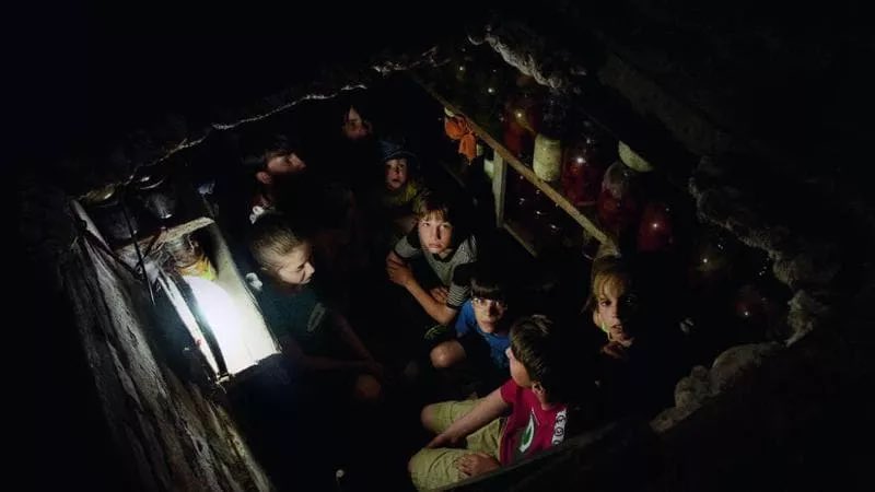 96 vol. V.B. tweet media