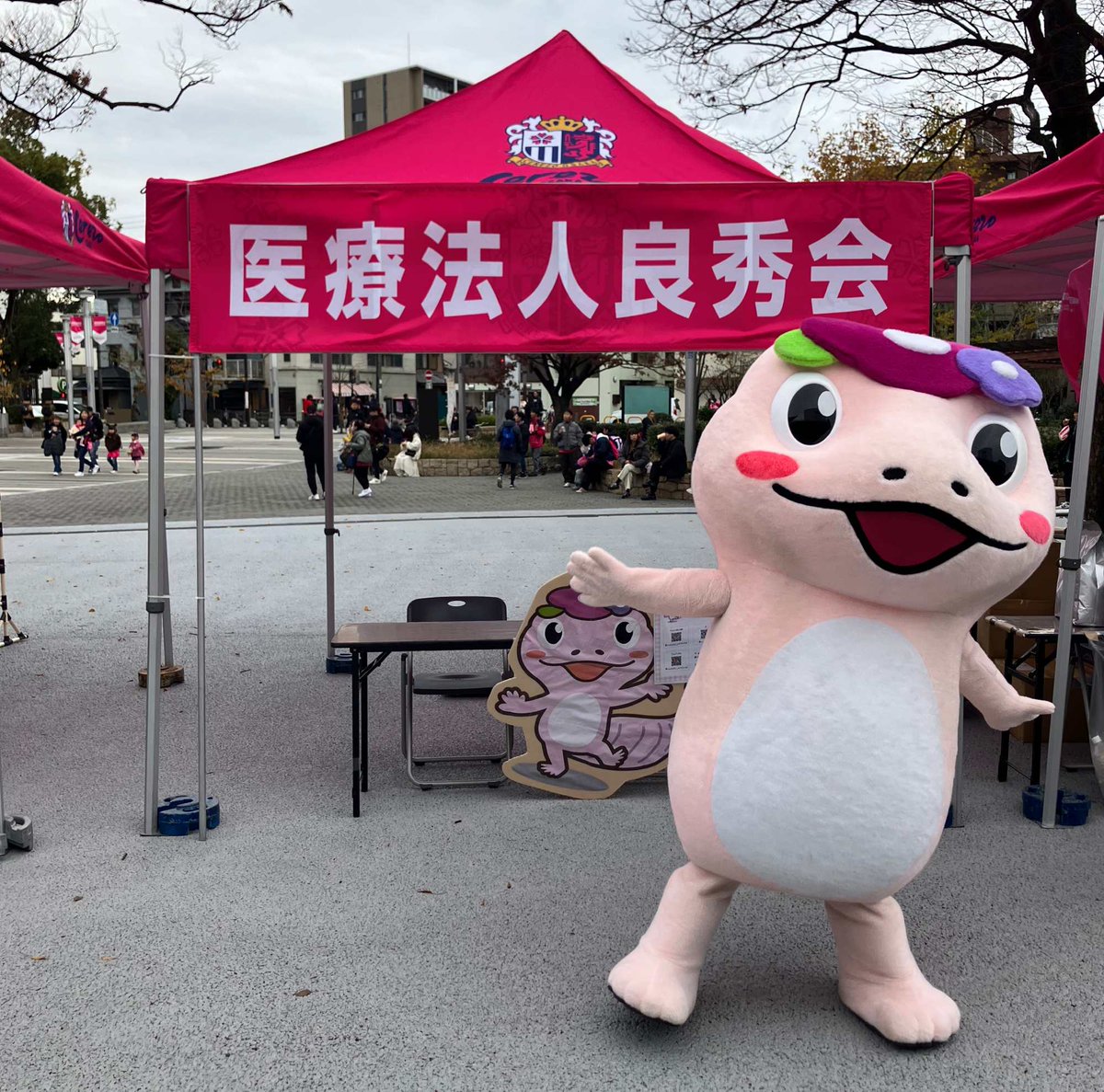 セレッソ大阪オフィシャル tweet media