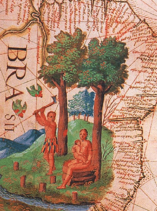 Matheus Zomé tweet media