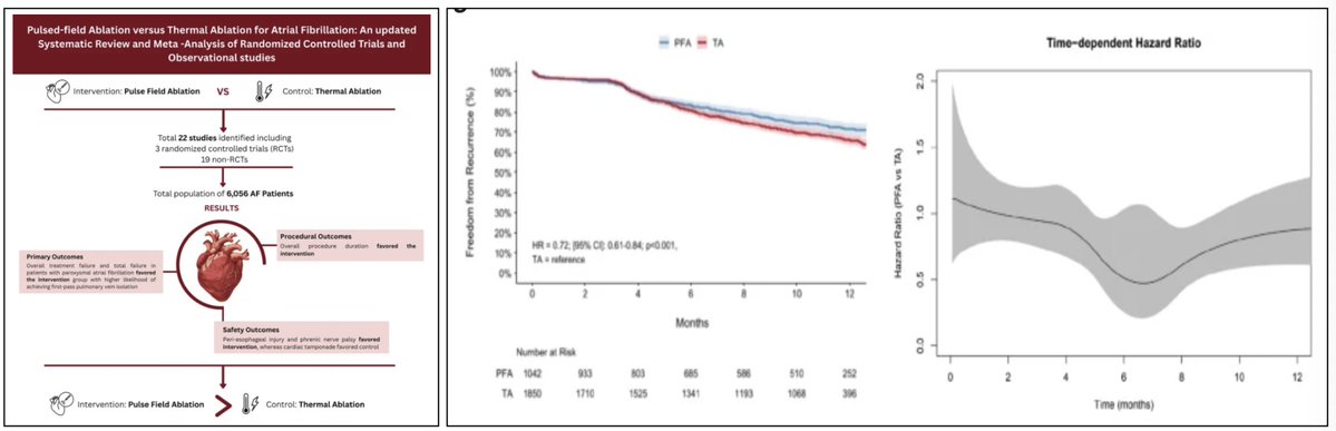 JICE_EP's tweet image. 🚨Latest #FreeRead Article in
@JICE_EP

PFA versus Thermal Ablation for Atrial Fibrillation: an Updated Systematic Review &amp;amp; Meta-Analysis of RCTs and Observational Studies with Time-to-Event Analysis

📖🧐rdcu.be/fduV7

by Zainab Humayun, Mir Wajid Majeed, Dhruvi