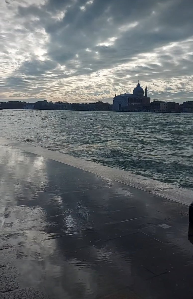 Monica 🍀⚘️🌍📚🐞🎧 tweet media