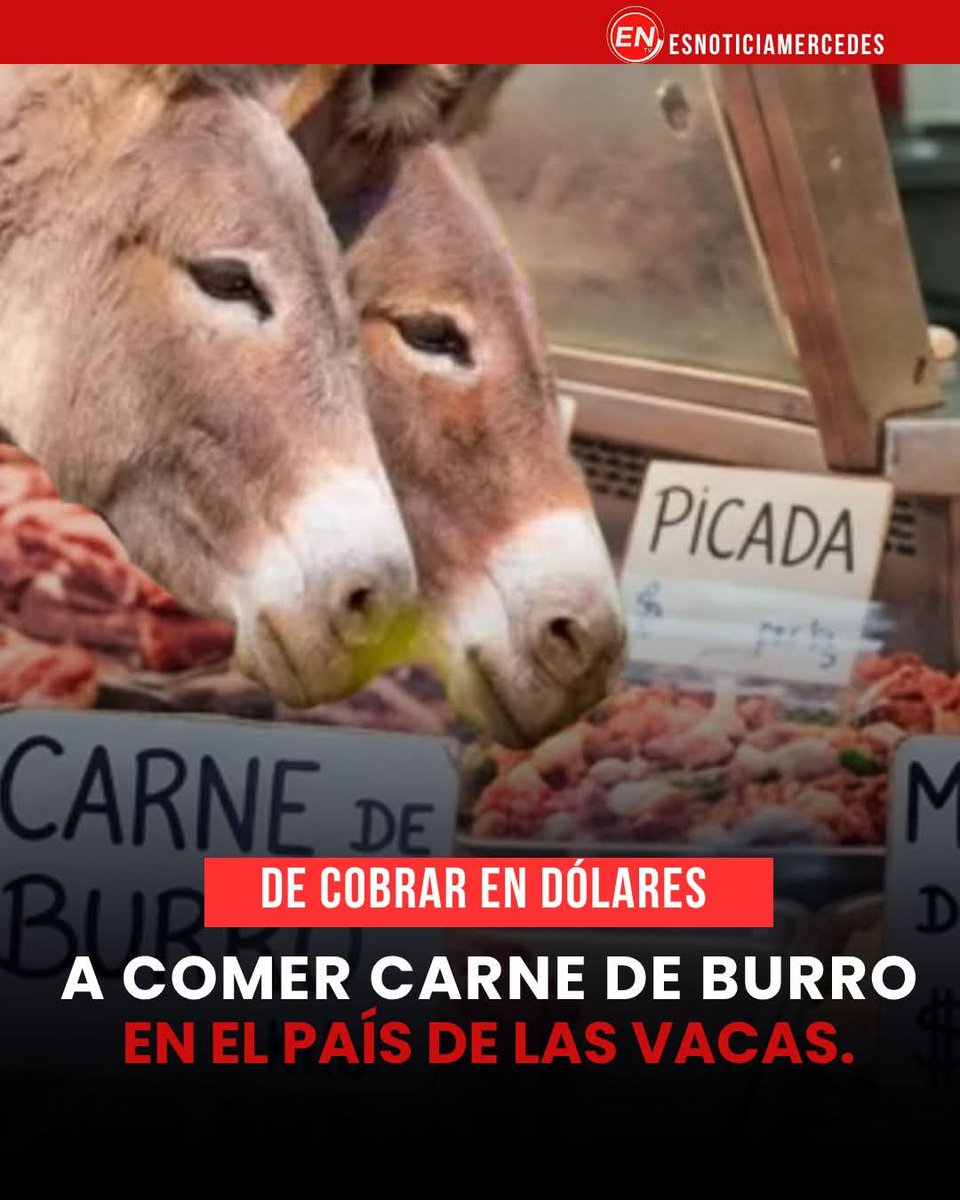 Maria Jose Esquivel tweet media