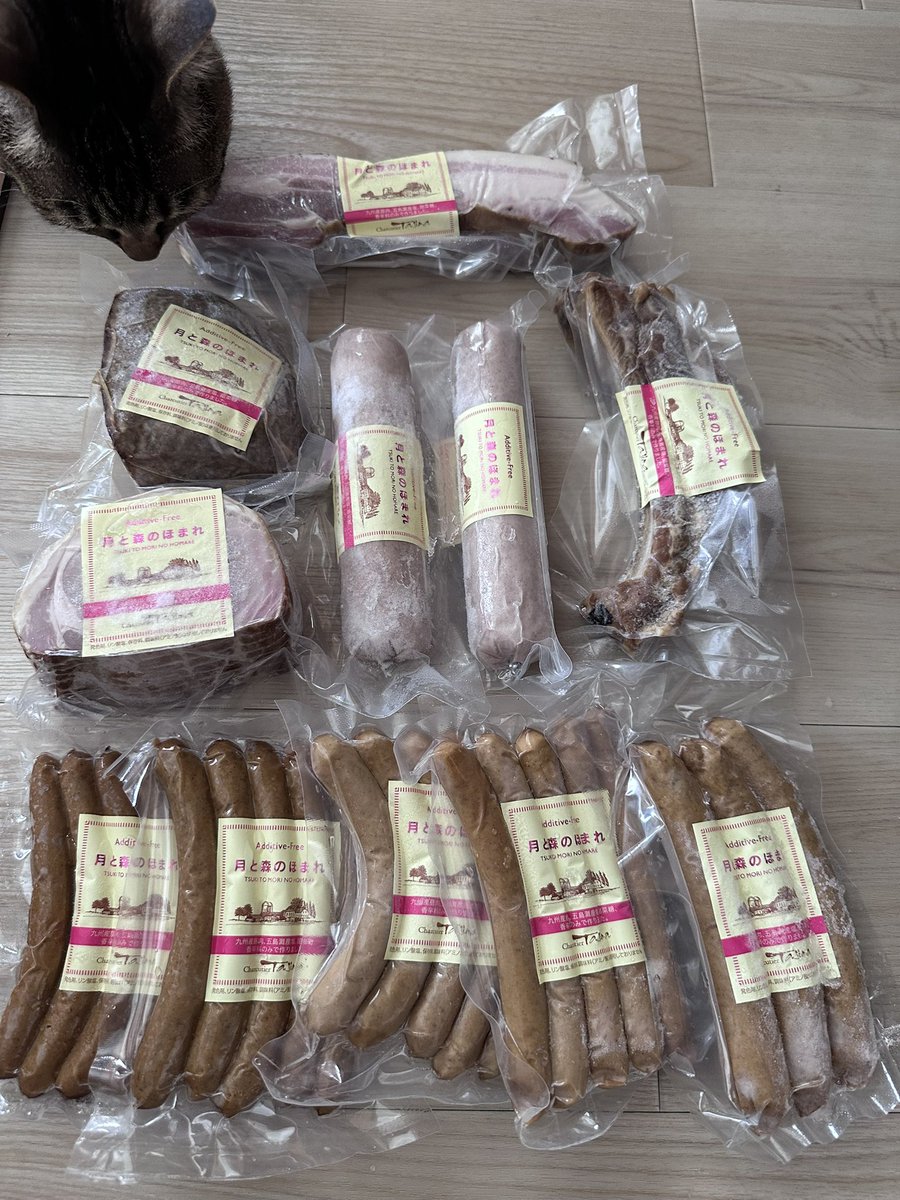 ぽん🎸🦋🧸 tweet media