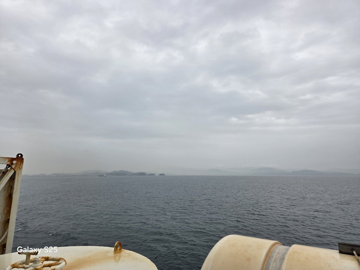 池田 雨 tweet media