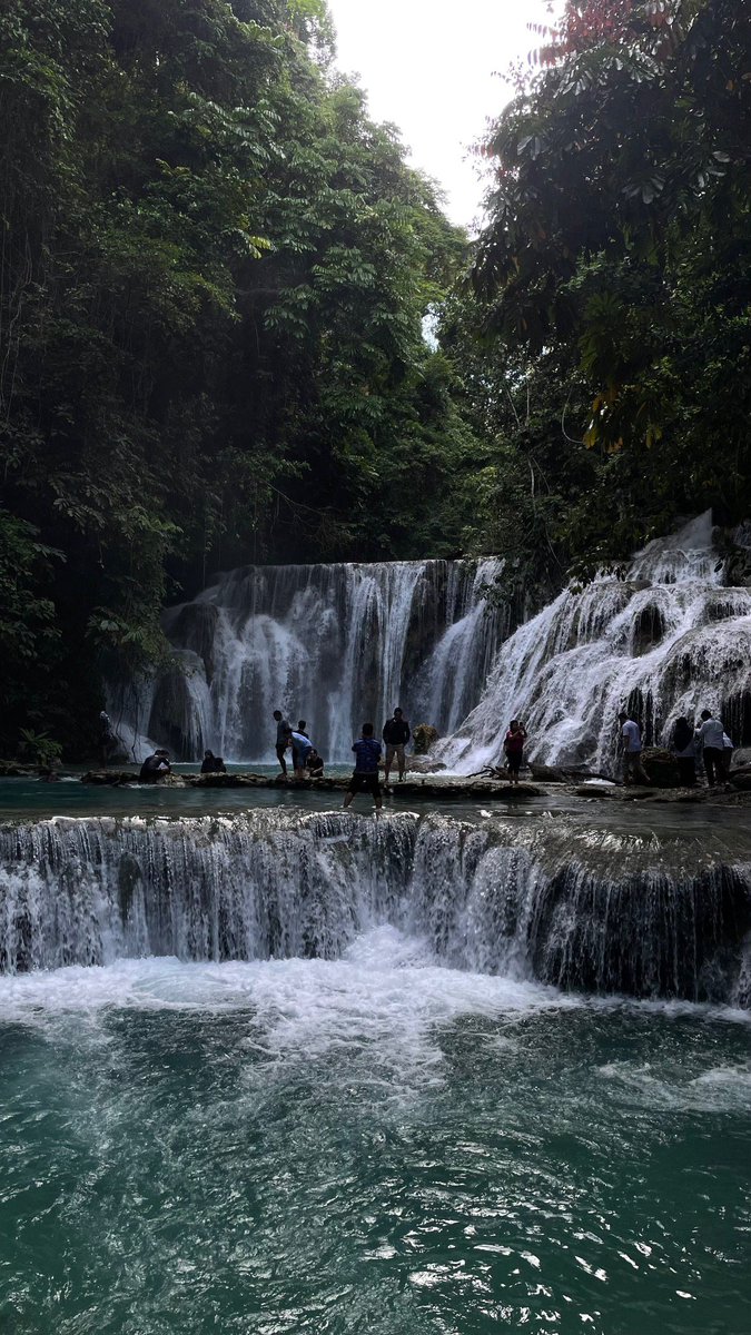 Sunny🌞 tweet media