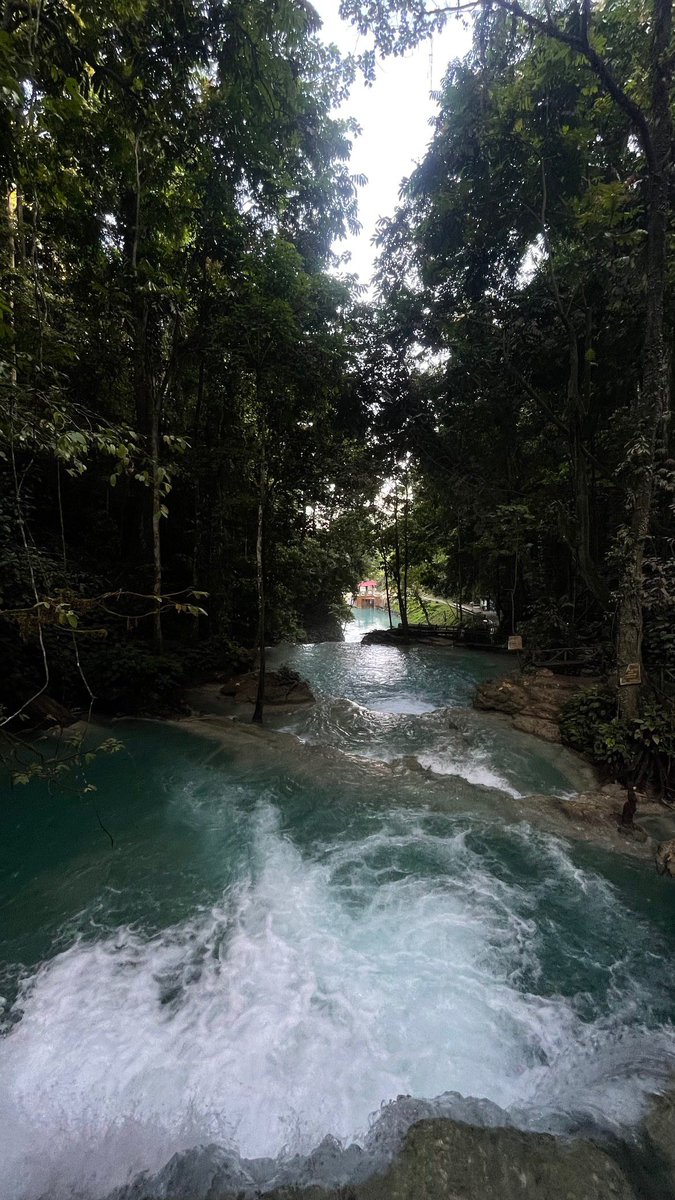 Sunny🌞 tweet media