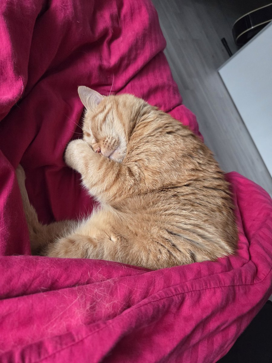 ₊✮rira✮₊ tweet media