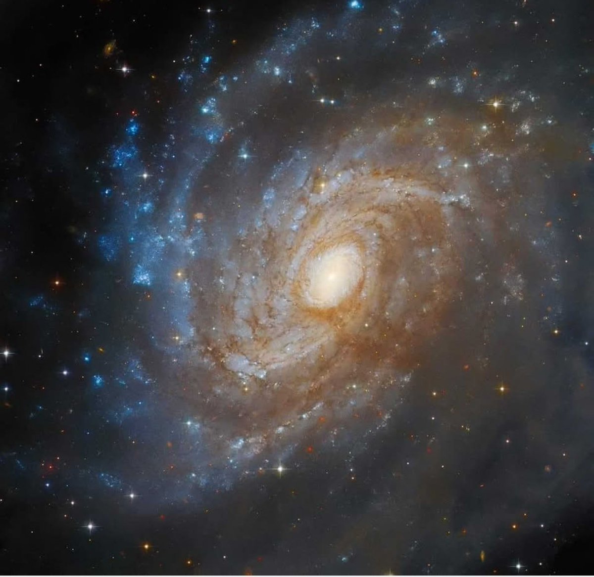 A cento milioni di anni luce di distanza, miliardi di stelle brillano nella galassia IC 4633.

Questa immagine, scattata dal sempre verde telescopio spaziale Hubble, ci mostra un'isola cosmica nella quale la formazione di nuovi astri avviene ad un ritmo sostenuto. 
Guardando