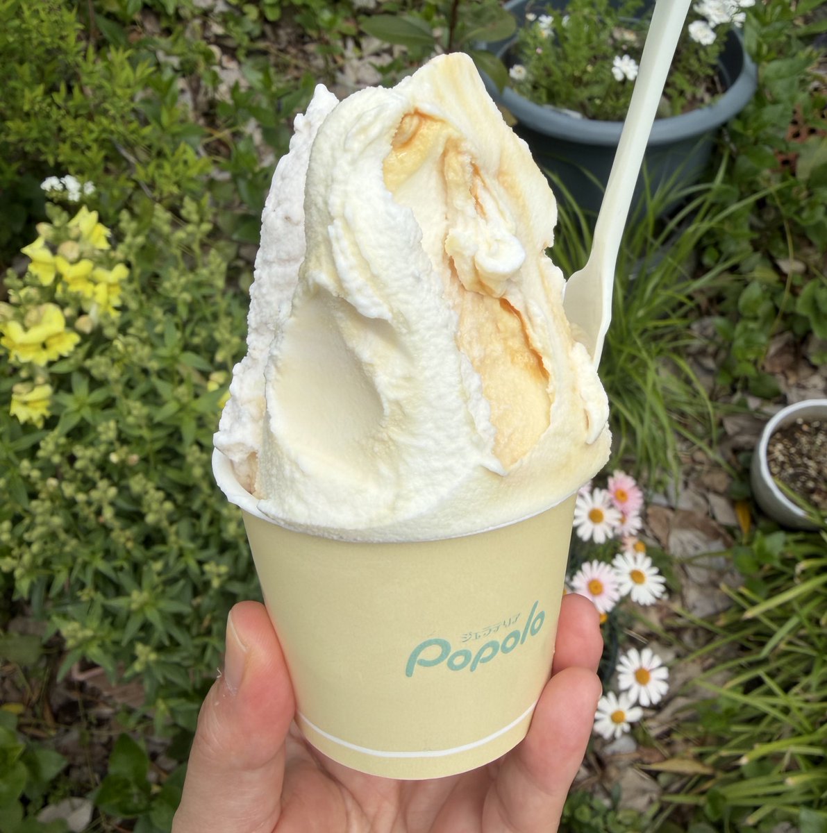 HTM@東2 ち72b tweet media