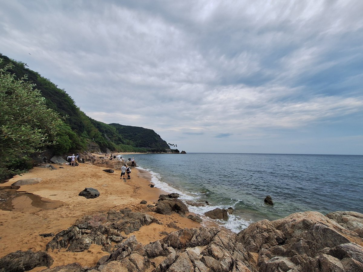 ラコロール tweet media