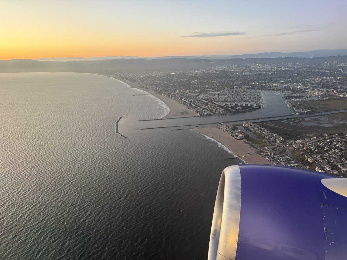 мιѕѕ ℓσρєz tweet media