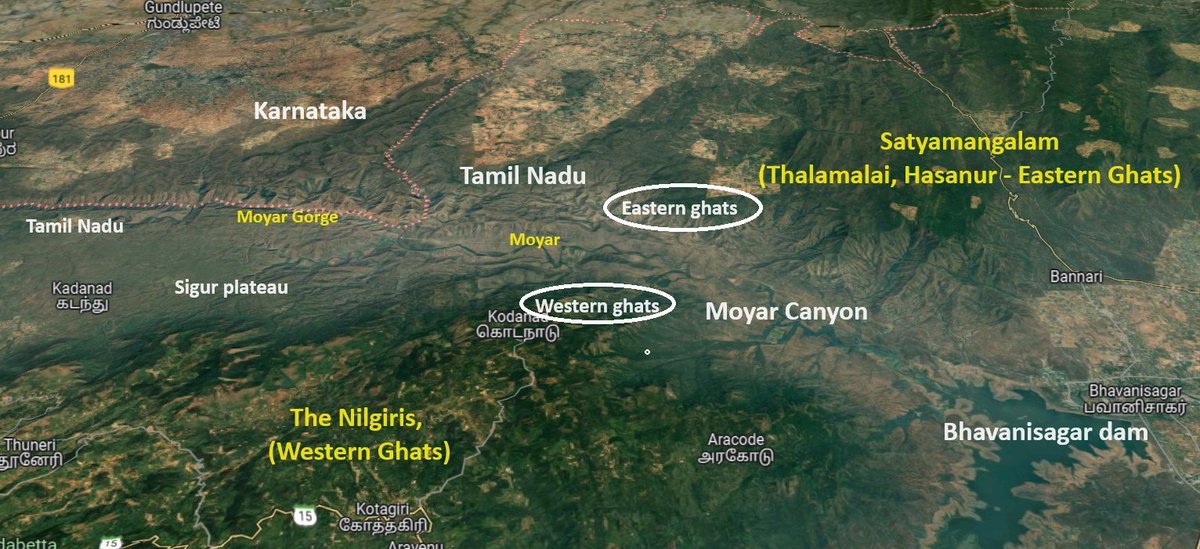 Tamil Nadu Geography tweet media