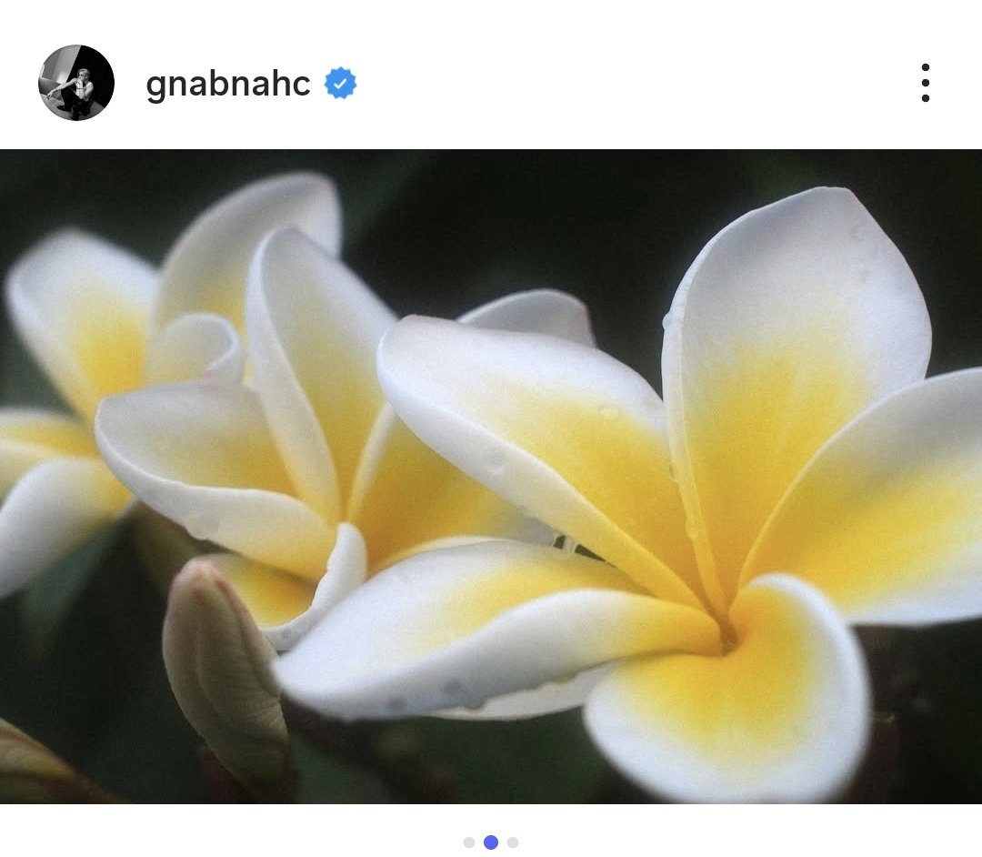 ❣️paula is not ok ᴮᵀᴿ tweet media