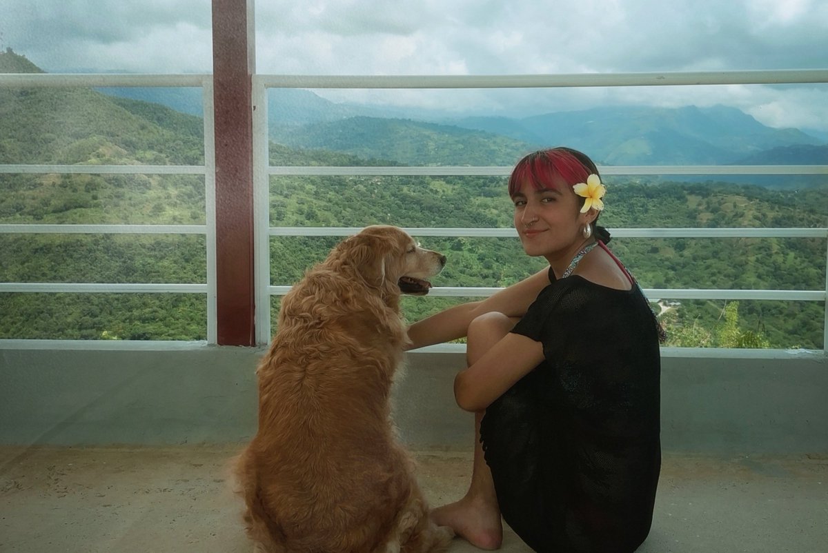 ❣️paula is not ok ᴮᵀᴿ tweet media