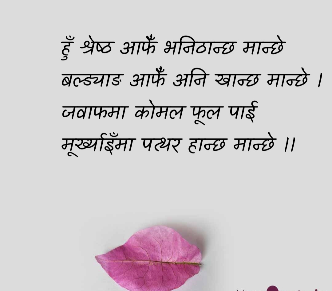 हुँ श्रेष्ठ आफैँ भनिठान्छ मान्छे 
बल्ड्याङ आफैँ अनि खान्छ मान्छे ।
जवाफमा  कोमल  फूल  पाई
मूर्ख्याइँमा पत्थर हान्छ मान्छे ।।