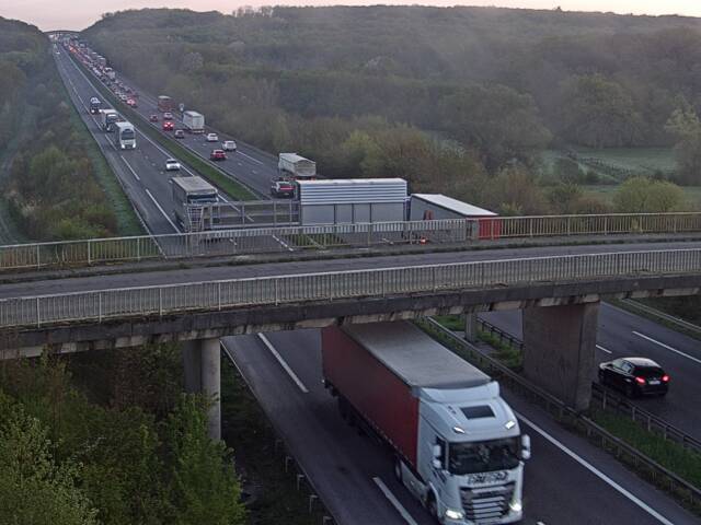 ITLFLORFRON tweet media