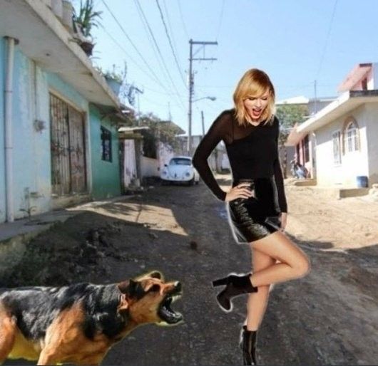 rouge 𖣂 tweet media