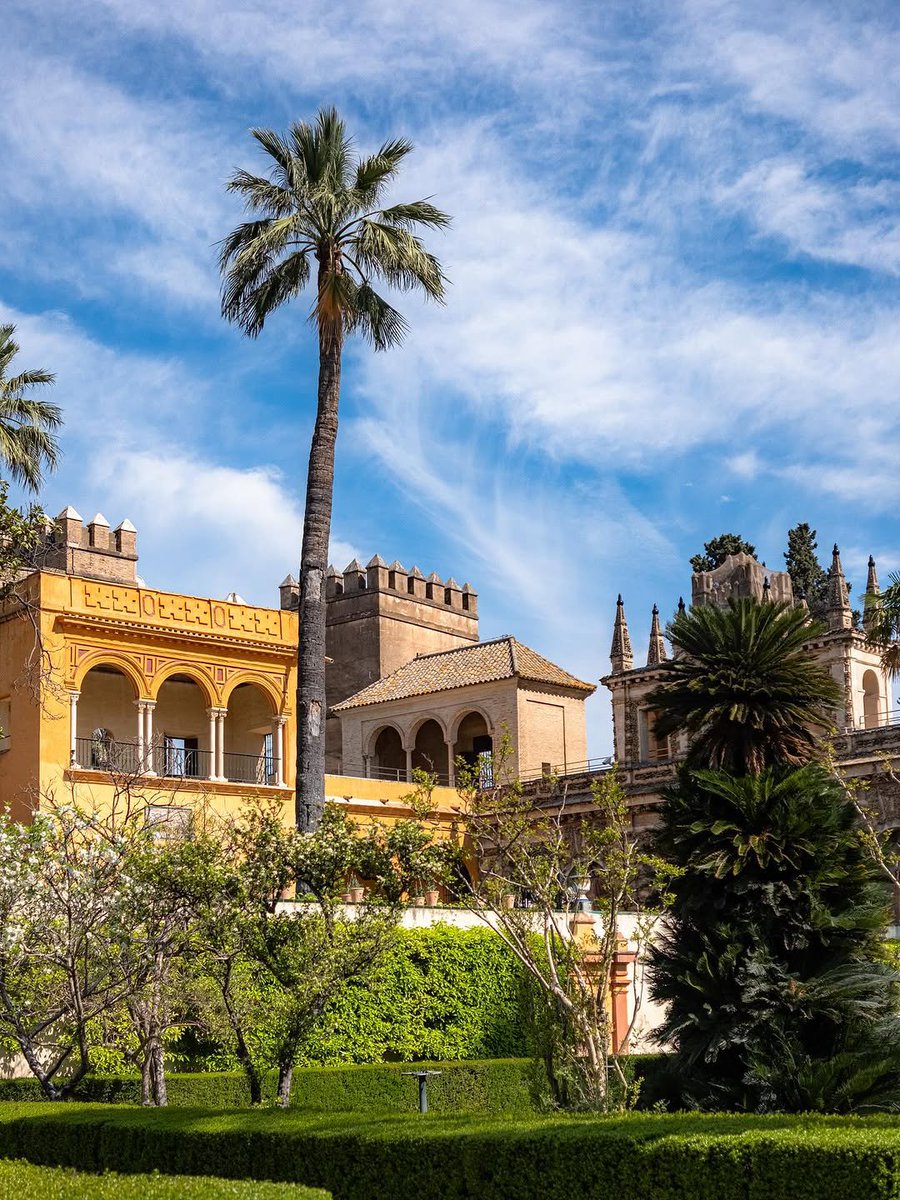 Ethereal Cities tweet media