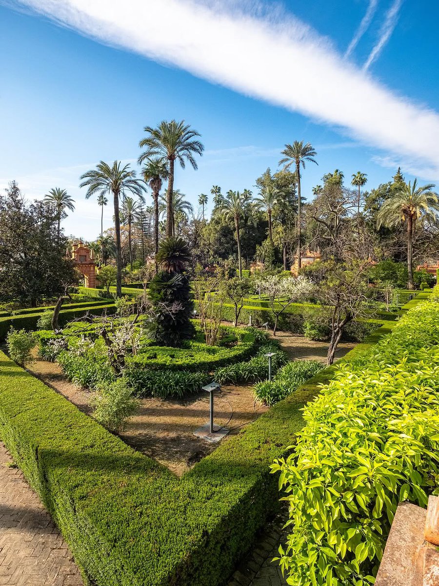 Ethereal Cities tweet media