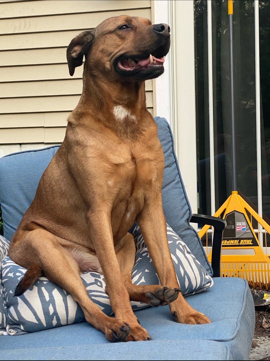 OTIS (DOZER) tweet media