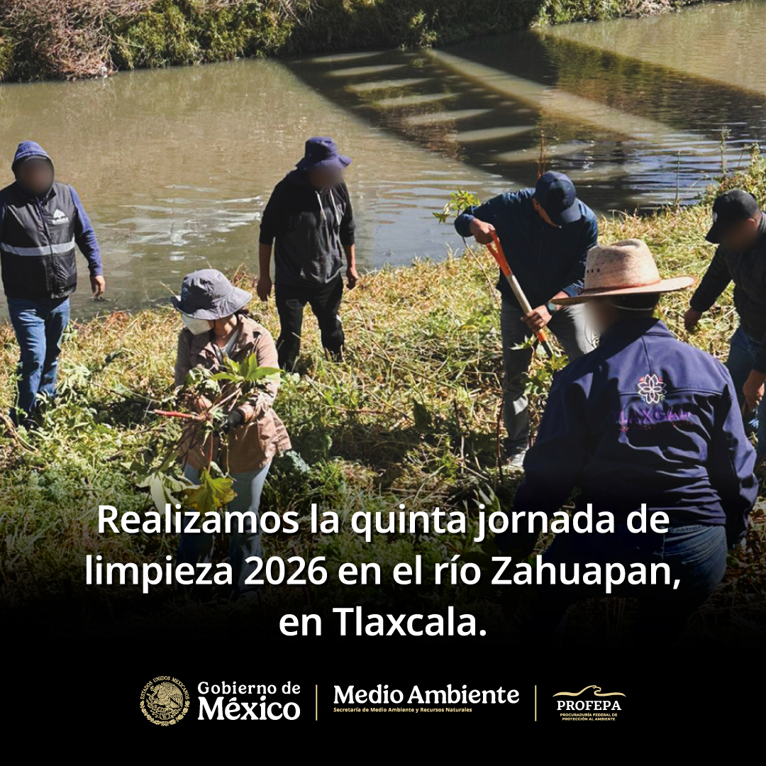 PROFEPA_Mx's tweet photo. La Profepa hace un llamado a la ciudadanía a evitar la disposición de residuos en ríos y barrancas, sumándose a la conservación de los recursos hídricos en beneficio de la población y del medio ambiente.
Conoce más ➡️ https://t.co/sT3sY3ywlZ https://t.co/QBqKBCmACv