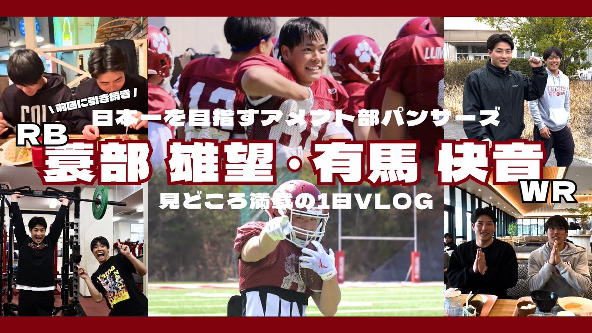 立命館大学パンサーズ tweet media