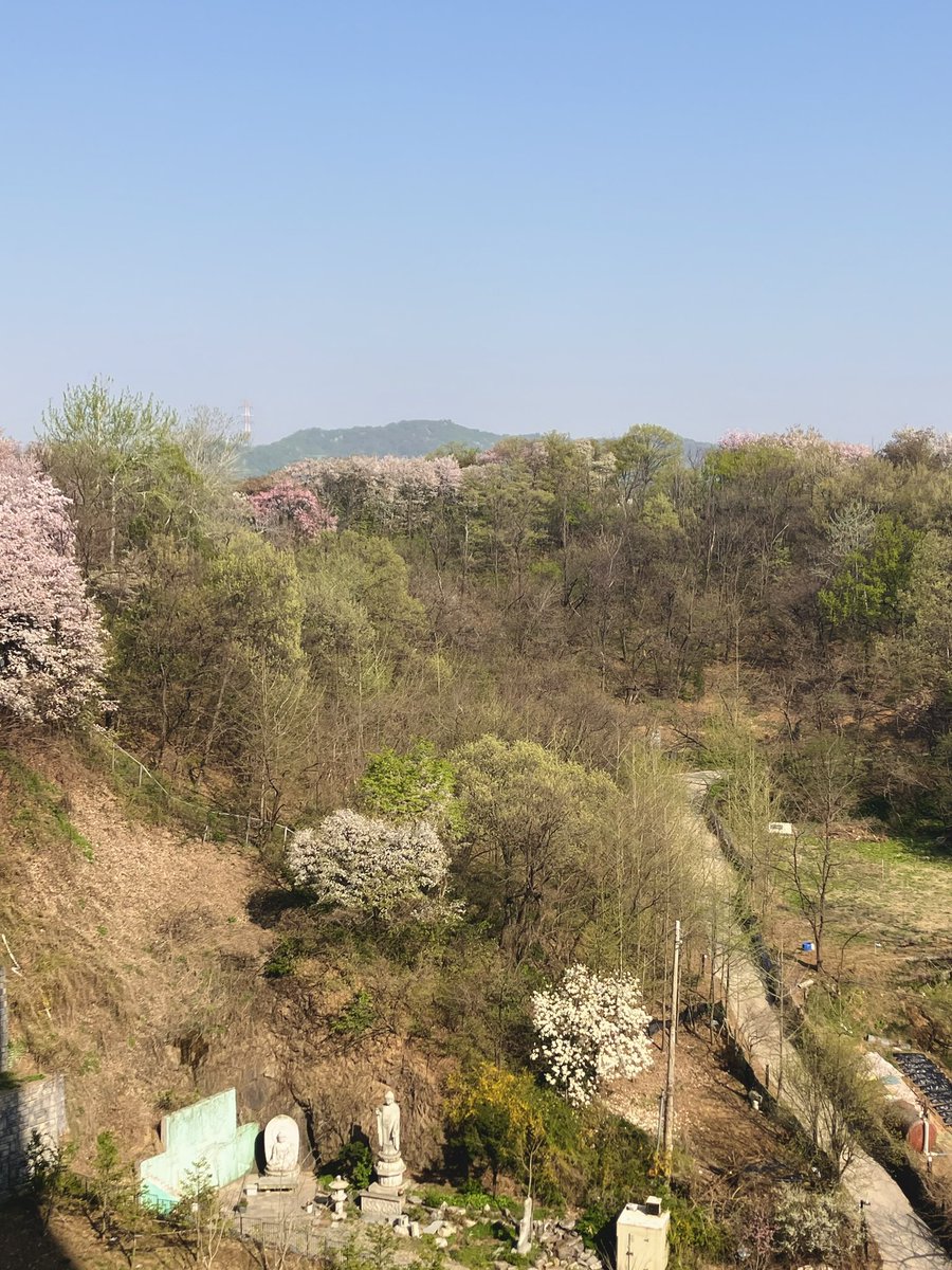 황벼리 tweet media