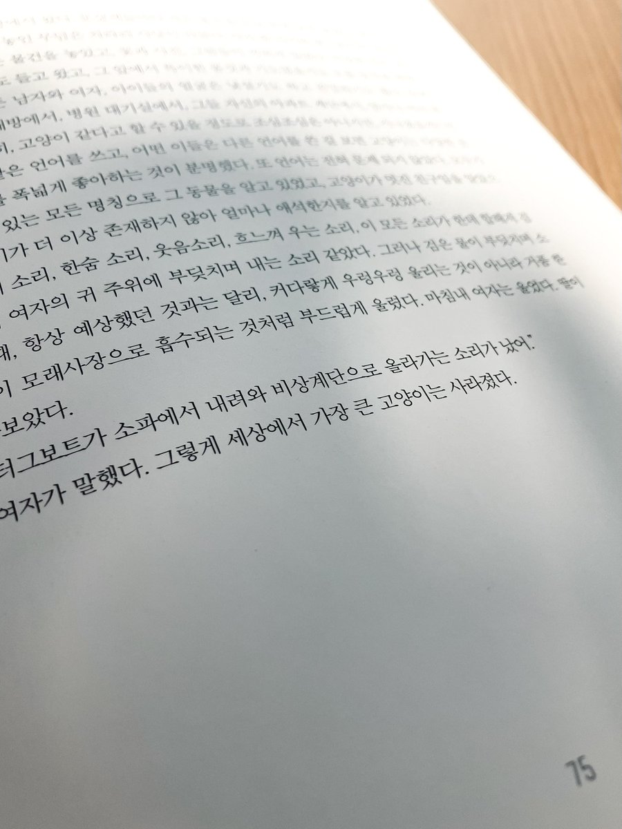황벼리 tweet media