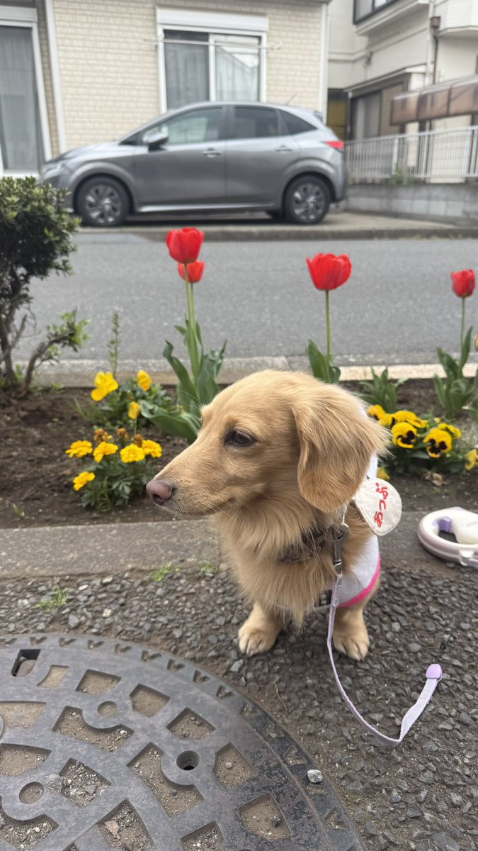 ☺︎あっぷ☺︎ tweet media