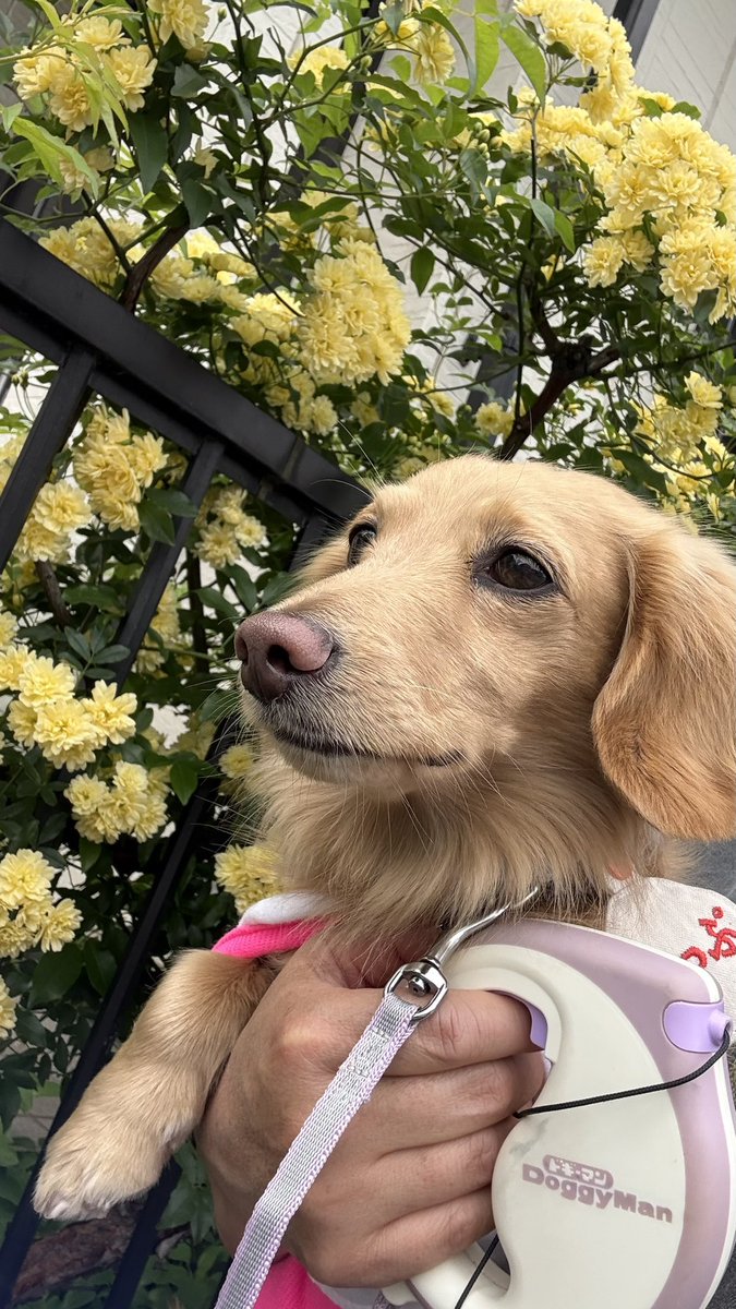 ☺︎あっぷ☺︎ tweet media