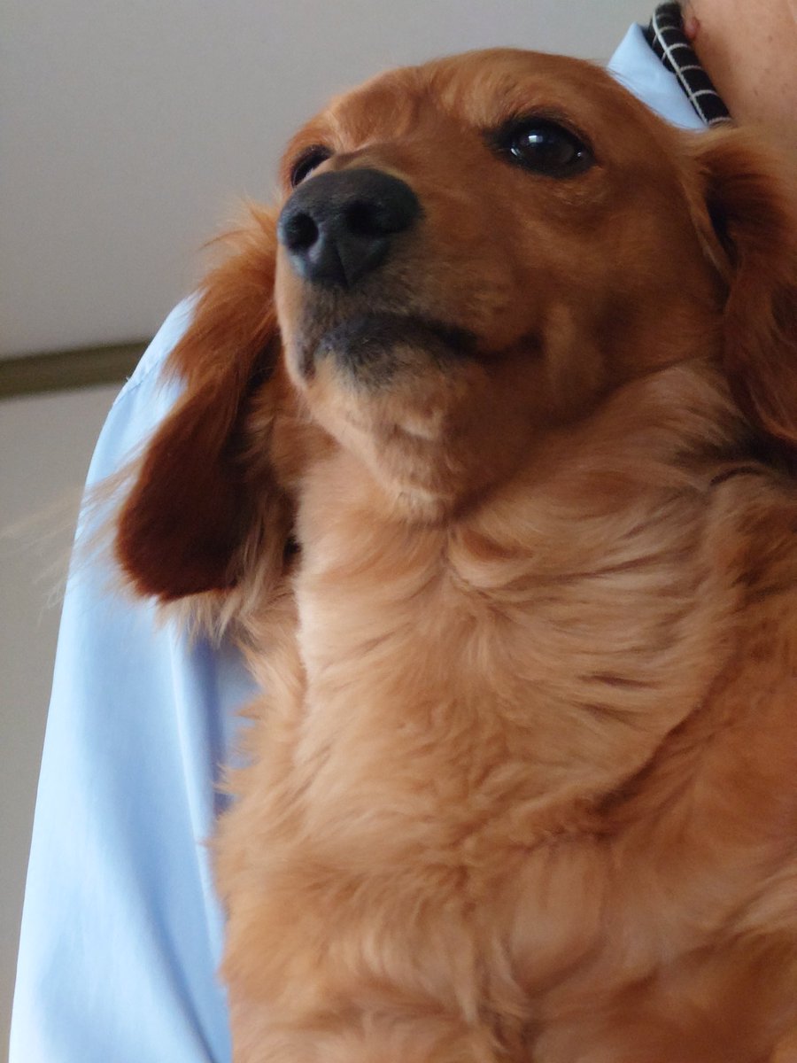 ラッキー tweet media