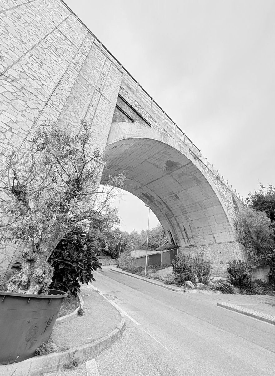 Alonein43672278's tweet image. #photography #blackandwhite #bridge #plants