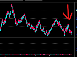 Discipline大臣 tweet media