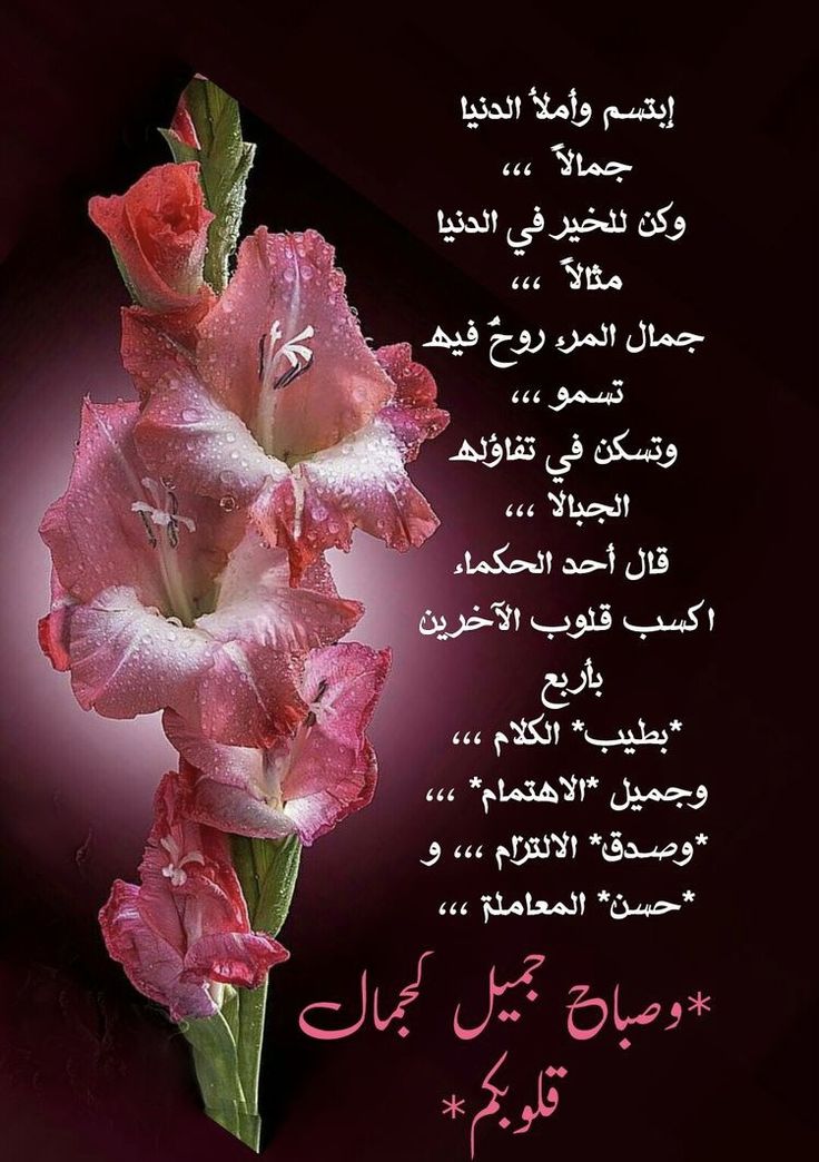 خالد بن فهد ابو هلال tweet media