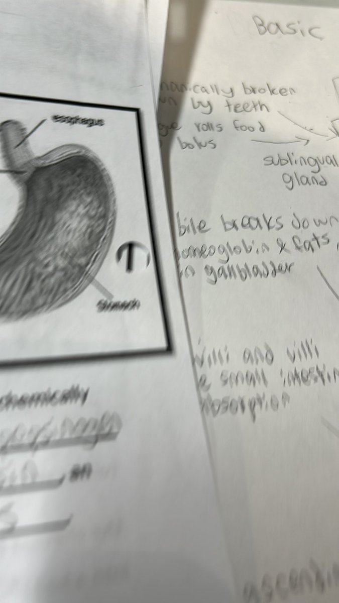 tobi🐝 tweet media