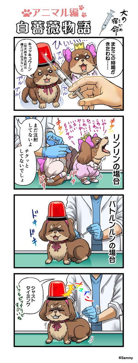 TA_Official's tweet photo. Webコミック／目黒川うな(@meguriva)『白薔薇物語』第92話♪

わんちゃん界隈、春の恒例行事！ニンゲンは健康診断を受けましょう！

#ツインエンジェル #twinangel https://t.co/Ao1bbiLfAf