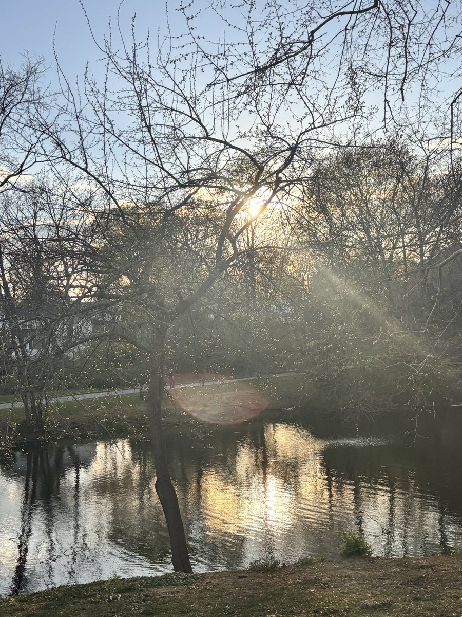 Mike Hogan tweet media