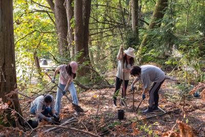 City of Mercer Island tweet media