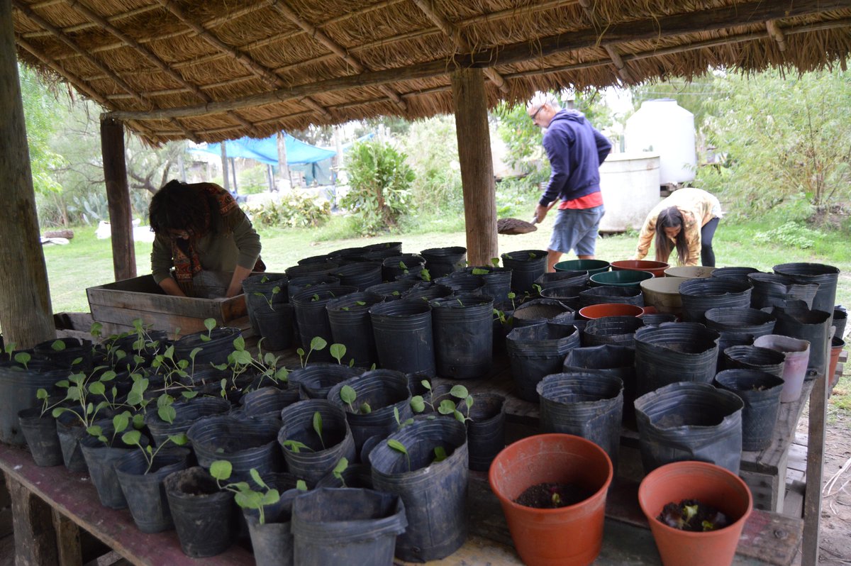 Punta Querandí se prepara para la siembra de la temporada otoño-invierno

puntaquerandi.com/2026/04/11/pun…