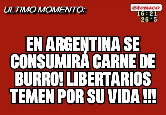 Maria Jose Esquivel tweet media