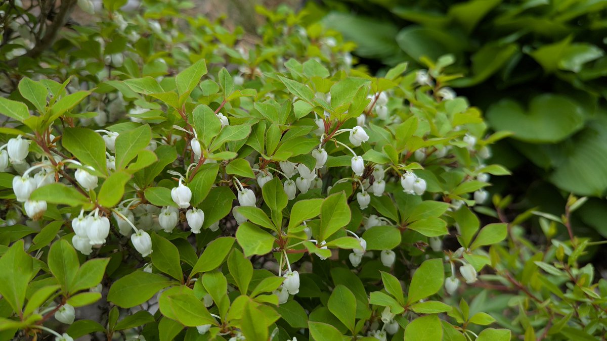 みえる tweet media