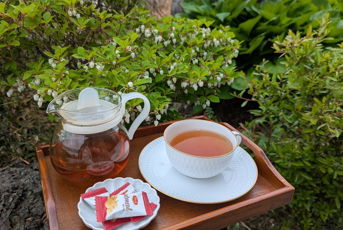 みえる tweet media