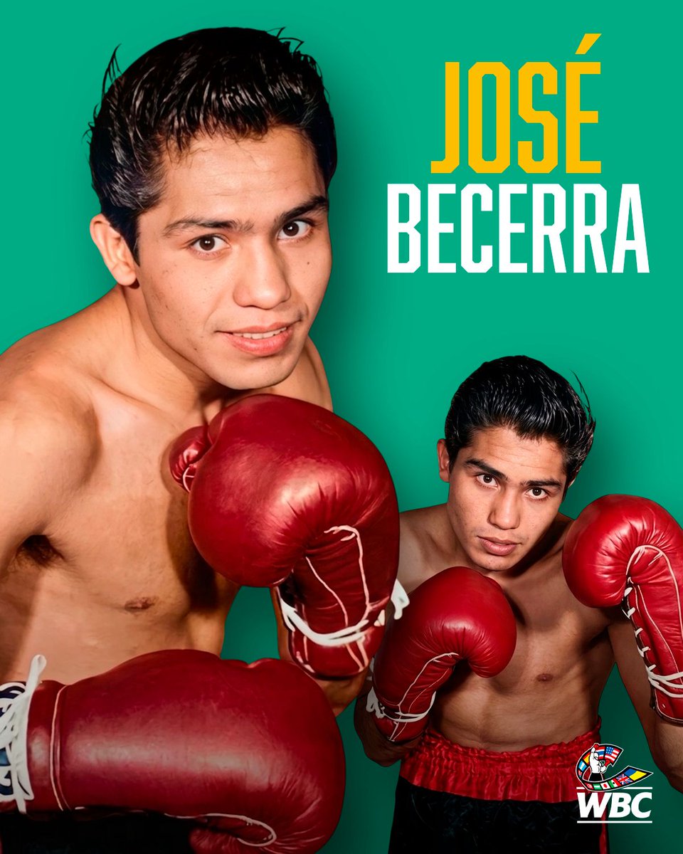 World Boxing Council en Español tweet media