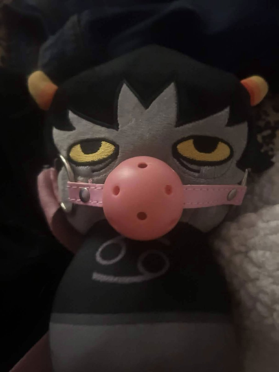 Polymorphicgon tweet media